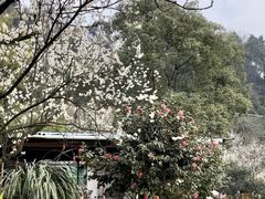 -樱桃山旅游景区