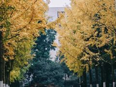 -重庆工商大学(南岸校区)