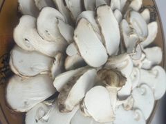 -野菌王牦牛肉汤锅