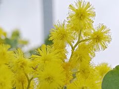 -海心沙亚运公园