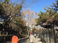 -长辛店二七公园