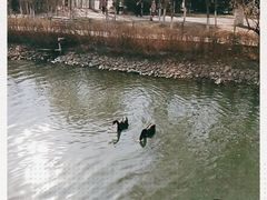 -长白岛森林公园