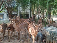 -观唐（国际）度假村温泉