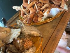-易门野生菌府·菌海森林(月牙潭公园店)
