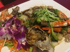 -Daddy Nimman Chiang Mai