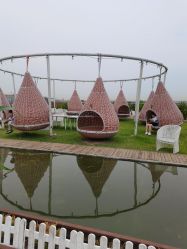 -小蜜蜂农场(凯德七宝购物广场店)