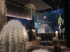 -TOP健身私教工作室(侨香店)