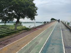 -贡湖湾湿地公园