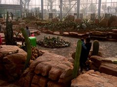 -南通洲际绿博园