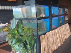 -长沙君悦酒店·湘江36中餐厅
