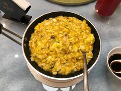 -丁老爷子苏香圆