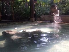 -厦门日月谷温泉渡假村