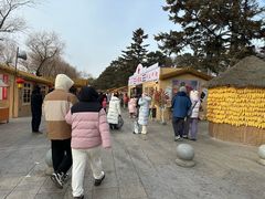 -长春市南湖公园