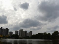 -新江湾城公园