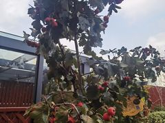 -上海市敬业中学