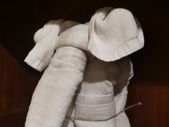 -森波拉火山温泉