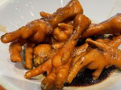 -南海鸽天下(肇庆店)
