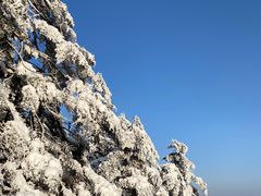 -瓦屋山景区