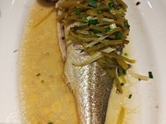 -老洋房花园饭店(绍兴路店)