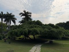 -南宁南湖公园