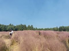 -同里国家湿地公园