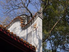 -橘子洲景区