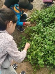 -麦粒鸟亲子游