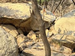 -大泽山风景名胜区