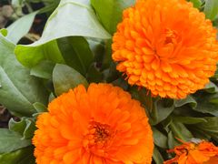 -Olé精品超市(重庆观音桥店)