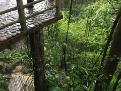 -天门沟九州驿站树上汤泉