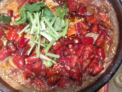 -有红鸡毛店·砂锅菜(抚琴夜市店)
