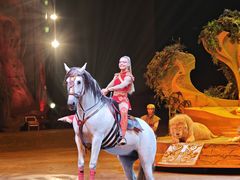 -广州长隆国际大马戏