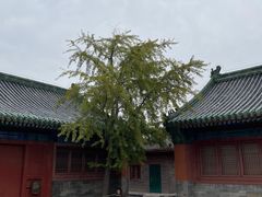 -历代帝王庙博物馆