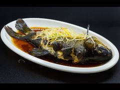 高原雪山鱼-小厨子私房菜·云南美食店