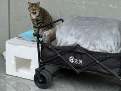 -郑和公园
