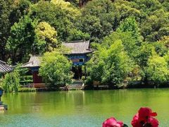 -黑龙潭公园