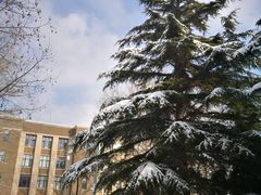 -大连理工大学(凌水校区)