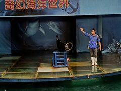 -苏州海洋馆