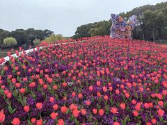 -上海鲜花港