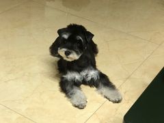 -乐宠宠物店(世纪金源店)