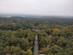 -灵谷景区