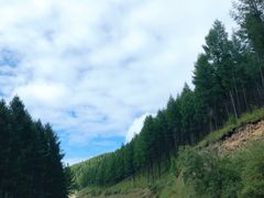 -塞罕坝国家级自然保护区