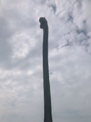 -恐龙探索乐园(磁器口店)