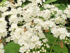 -COSTA COFFEE(济南振华商厦店)