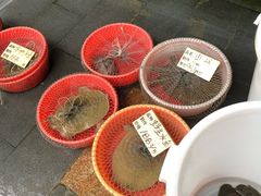 -大门水乡·顺德菜