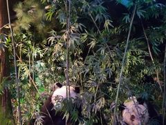 -天津自然博物馆
