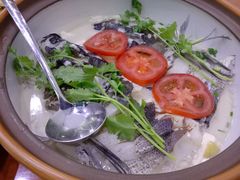 -全乐鱼馆·淳牌有机鱼直营店