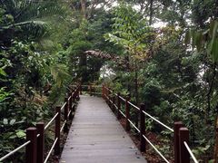 -武吉知马自然保护区