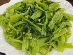 椒丝腐乳通菜-南记食粥坊·宵夜大排档(莲花总店)