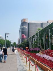 -悠巷形象设计